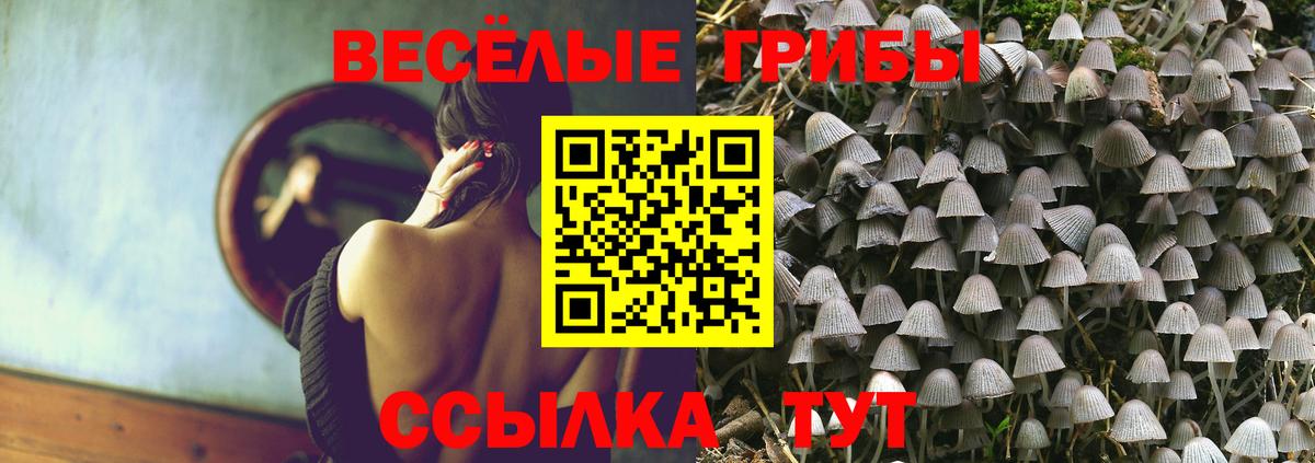 Псилоцибиновые грибы Magic Shrooms Таганрог